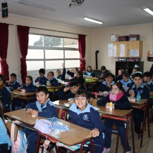 Día de la Actividad Física